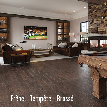 SF-frene-tempete-brosse